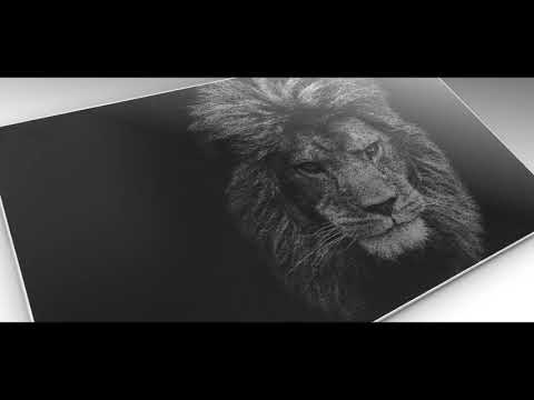 Auto-focusing Marking System