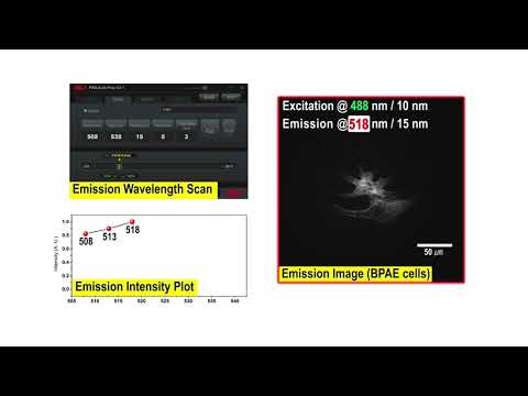 Flexible Wavelength Selector (FWS) Poly for Hyperspectral Imaging - SPECTROLIGHT Inc.