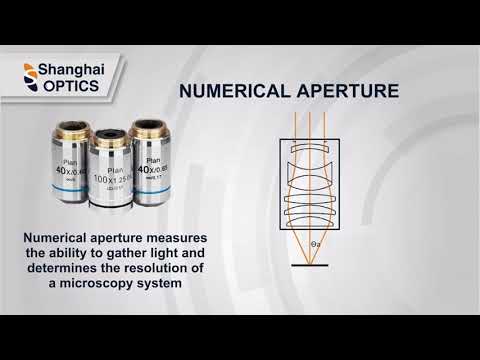 How to Choose the Right Microscope Objective - Shanghai Optics Inc.