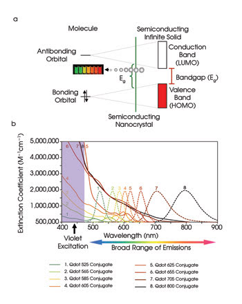 Invitrogen-Feat+Figure-1.jpg