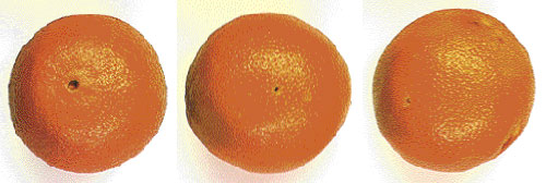 Orange3.jpg