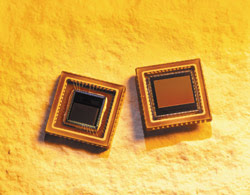 The Right CMOS Camera for the Job