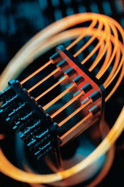 The Elegant Optical Network