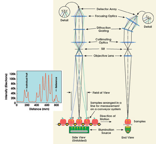 Spotting Bad Apples Fast