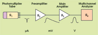 Why Photomultipliers Need Amplifiers