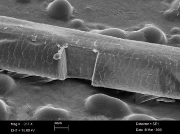 Excimers Smooth the Path to Well-Lubricated Bearings