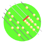 Internetworking Forum Targets Security