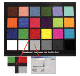 Sensors Support Low-Light Imaging