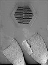 Photonic Crystal Enables Surface-Emitting Quantum-Cascade Laser
