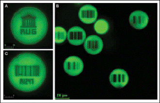 Photobleaching Offers Coded Microspheres