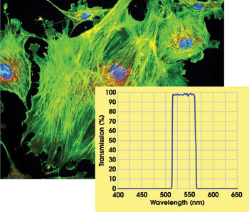 Semrock_Figure3.jpg