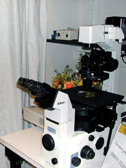 Imaging Center Offers the Latest Microscopy Techniques