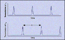 Mode-Locked Fiber Laser Emits Simultaneous Pulse Trains at Three Wavelengths