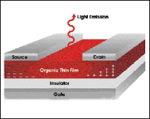 An Organic Field-Effect Transistor Emits Ambipolar Light