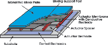 Microscale Actuators Drive Macroscale Optical Element