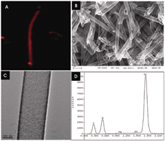 Silica Nanotubes Loaded with Laser Dyes