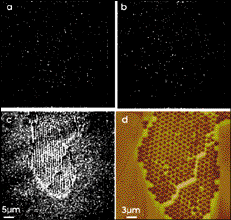 Single-Molecule Imaging Produces Nanoscale Pictures