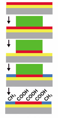 Taking Nanolithography Beyond Semiconductors