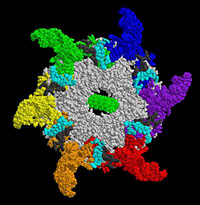 Nanomotor Assessed for Treating AIDS, Cancer