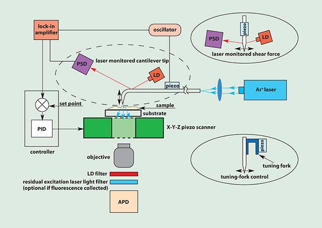 The illumination mode of NSOM generally belongs to the family of scanning probe microscopies.