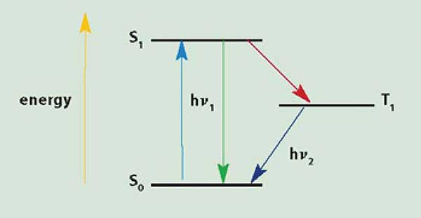 Spectroscopy: Mastering the Techniques