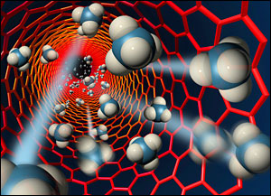 nanotubemembrane.jpg