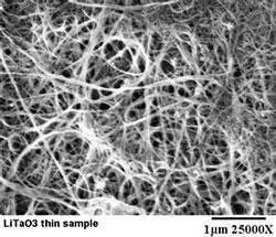 NanotubesBefore.jpg