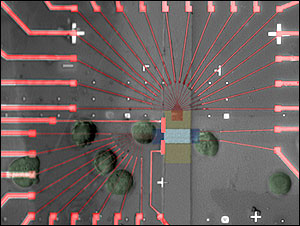 Blood-Cell-Sized Memory Circuit Created