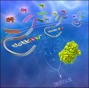 Tiny Implantable Biocomputers Developed