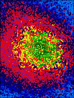 X-rays Expose Magnetism