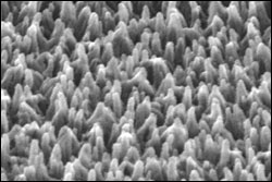 Nanofibers.jpg