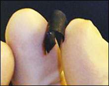 Paper Becomes Power Source