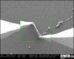 Nature's Versatile Hard Drive