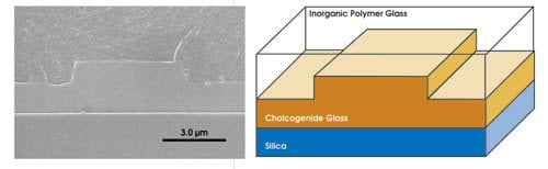 Cudos_fig4_left_sem.jpg