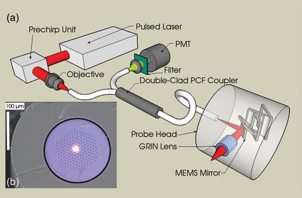 Fiber Optics and MEMS