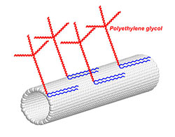 Nanotube2.jpg