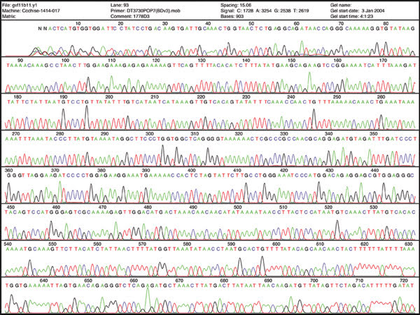 PCR-Feat_Fig2_sequence-data.jpg