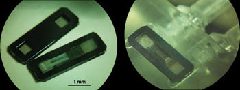 Nanofluidics_Fig2a_2b.jpg