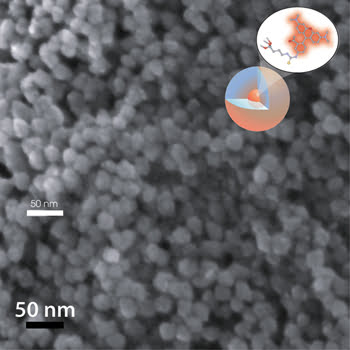 The Quest for a Better Biological Imaging System