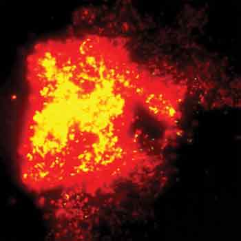 Nanotube_Fig-8_Supernova.jpg