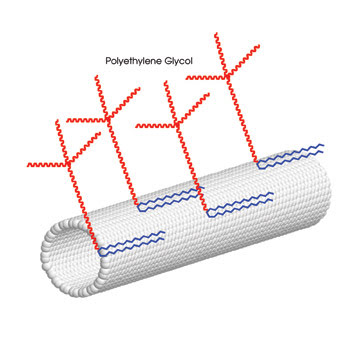 Nanotube_fig-2.jpg