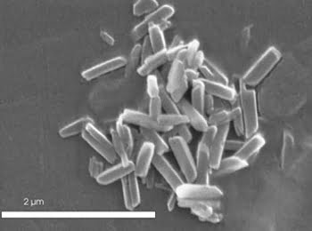 Polarized Crystals Enable Malaria Diagnosis