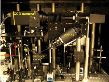 AACorrosion_Fig-2_SFG-microscope-2.jpg