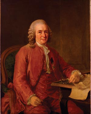 Postscripts_Linnaeus-Roslin-croppedj.jpg
