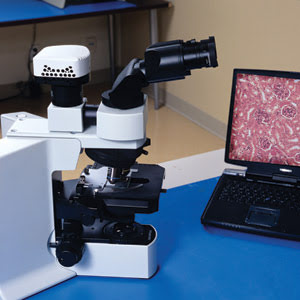 Microscopy for Diagnosing Cancer