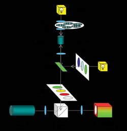 Label-Free Live-Cell Imaging for High-Content Screening