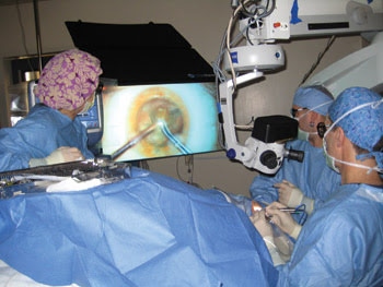 Clinical microscopy’s changing view