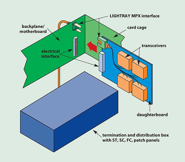 Array connector used for simplified backplane-based system packaging. 