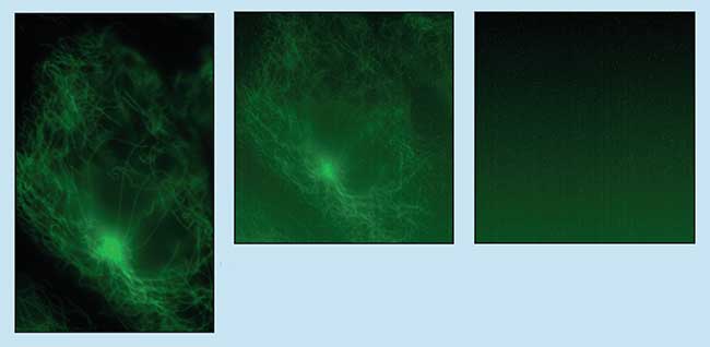 Cooling a CCD chip (right) reduces the thermal noise contribution (left) to an image that otherwise would be harder to read (center).