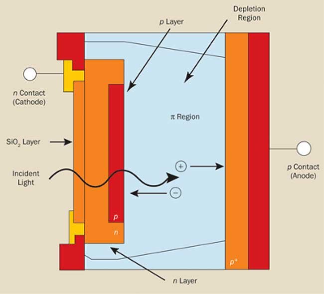 Cross section of an avalanche photodiode.